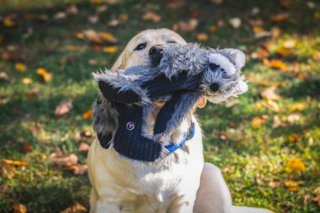 Raccoon Rope X | Huggle Hounds Toy Huggle Hounds 