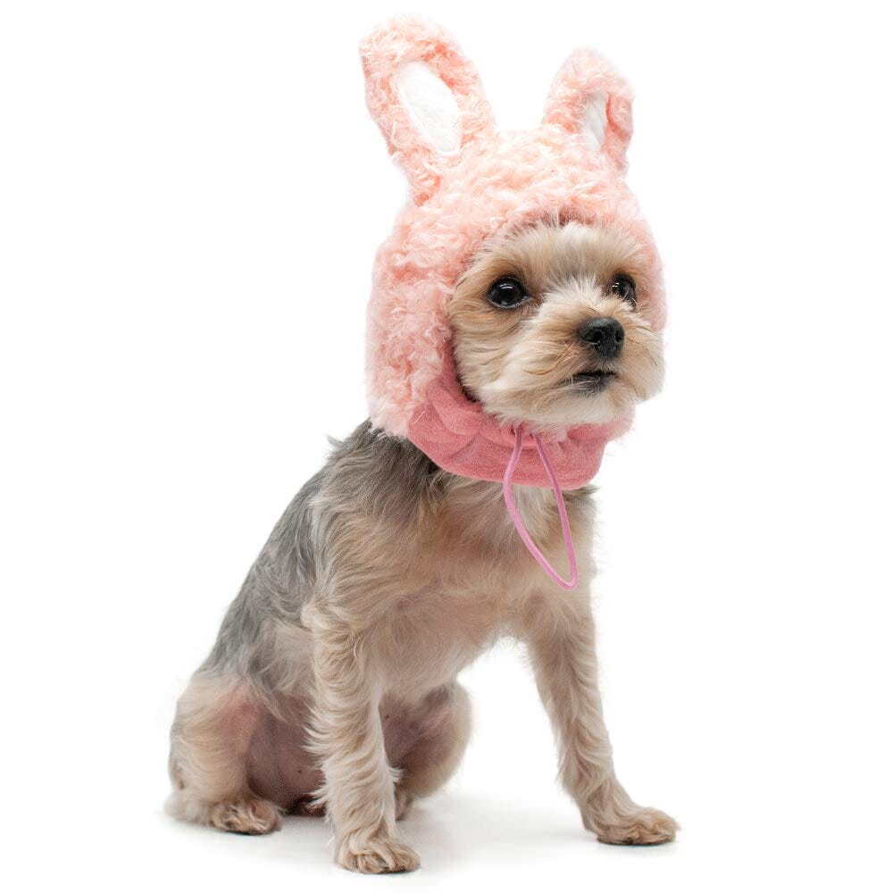 Bunny Hat | Dogo Pet Fashions Hats DOGO 