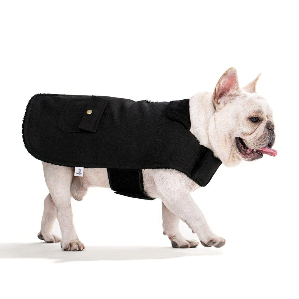 Canva Coat | Koi Pet DOGO Small Black 