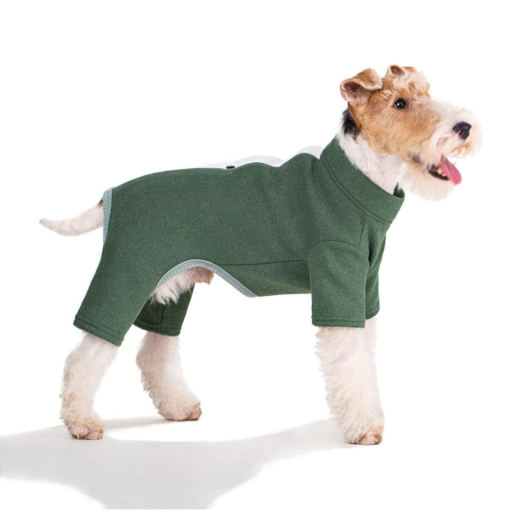 Button Up PJs | Koi Pet DOGO 10" Green 