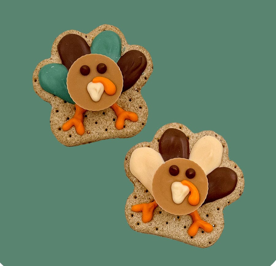 Travis and Taylor Turkey | Bosco & Roxy cookies Bosco Roxy 