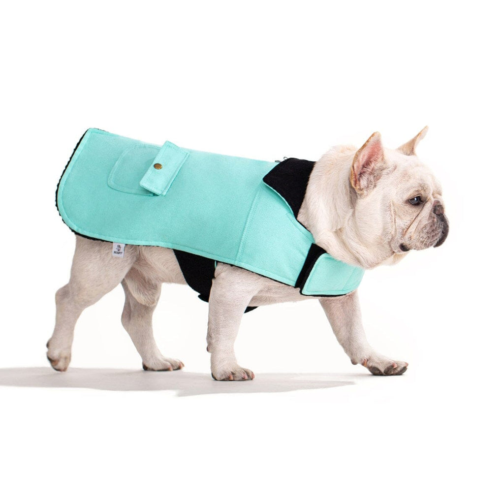 Canva Coat | Koi Pet DOGO Small Teal 