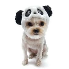 Panda Hat | Dogo Pet Fashions Hats DOGO 