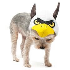 Eagle Hat | Dogo Pet Fashions Hats DOGO 