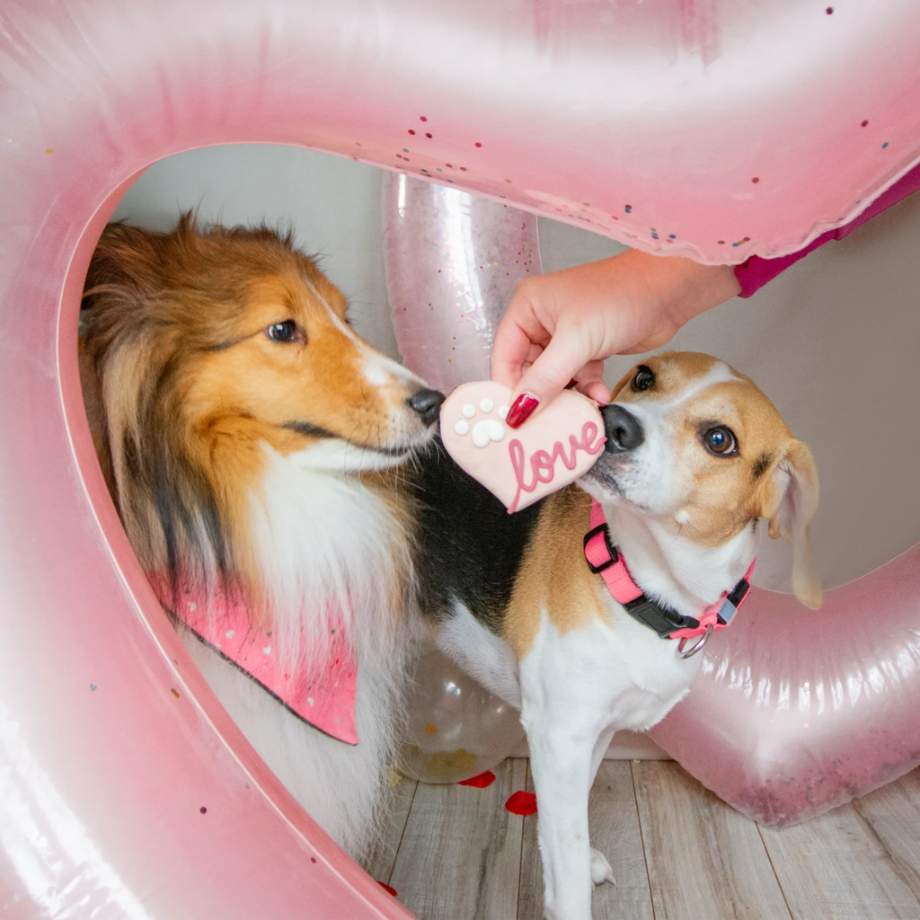 Valentine's Day | Bosco and Roxy's Cookies Bosco Roxy 