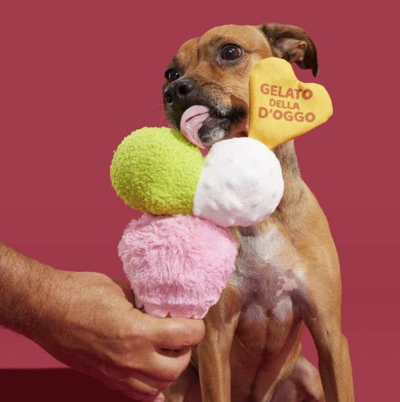 Gelato Dog Toy | Pet Pallete Pet Palette Distribution 