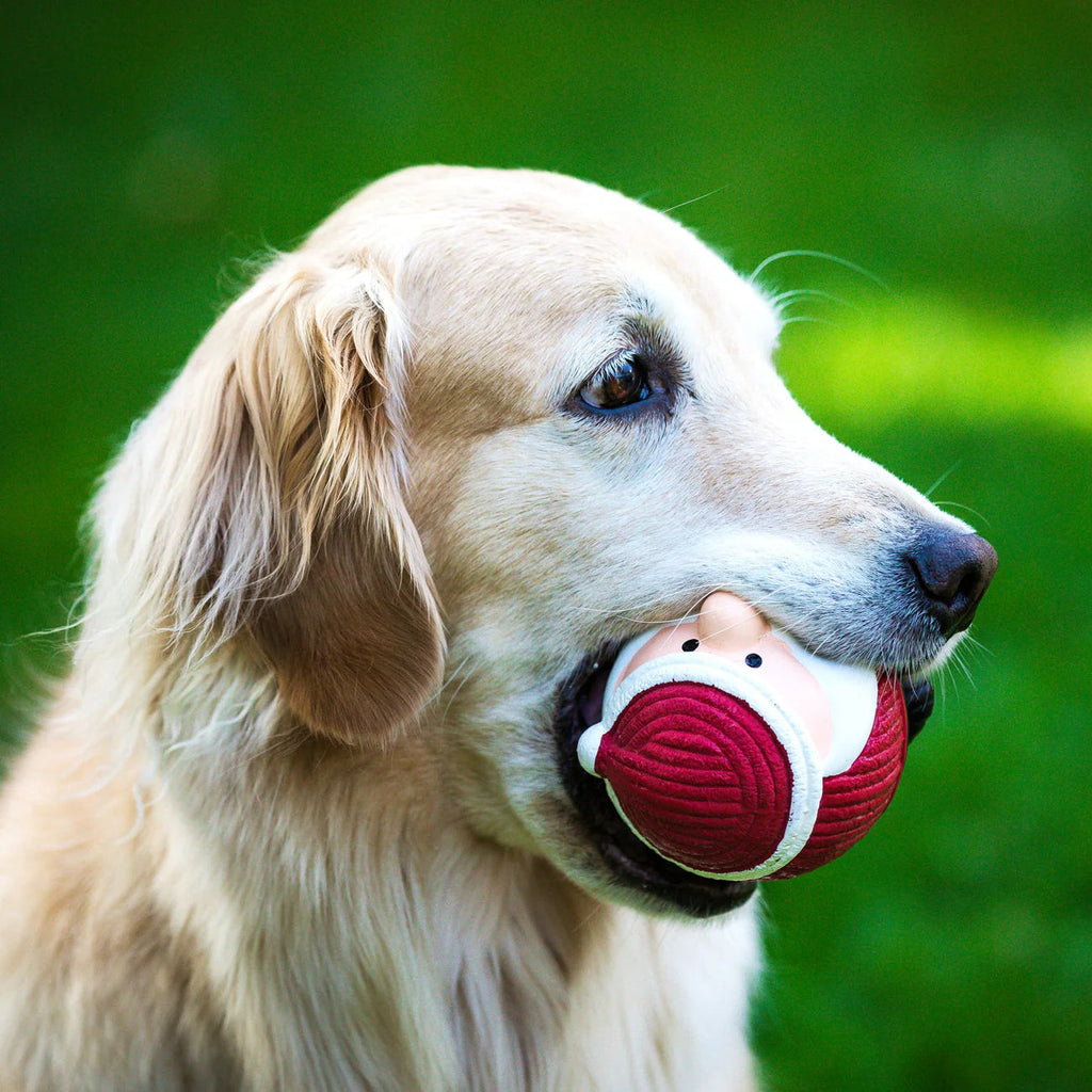 Santa Ball | Hugglehounds Dog Toys Hugsmart Products Inc 