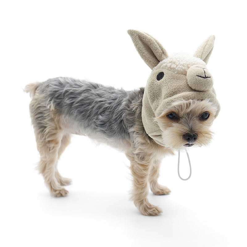 Mushroom Pet Dog Hat  Dogo Pet Fashions at PupRwear